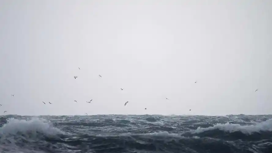 电脑背景图(超好看的全屏壁纸) | 苟探长